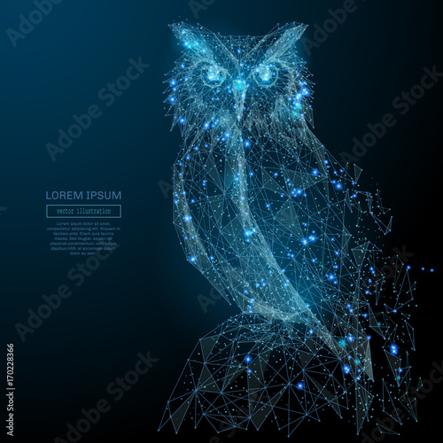 Owl isolated from low poly wireframe on dark background. Wild bird of prey. Vector polygonal image in the form of a starry sky or space, consisting of points, lines, and shapes in the form of stars
