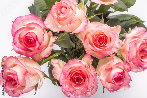 bouquet of rose flowers on white background