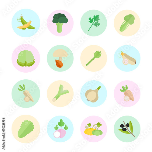 Set Vector Illustration of Vegetables