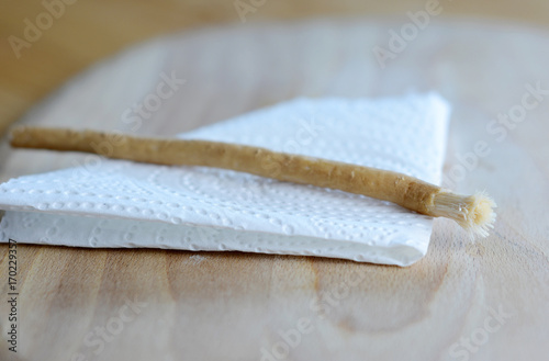 Old islamic traditional natural toothbrush Miswak or Siwak. (Salvadora persica)