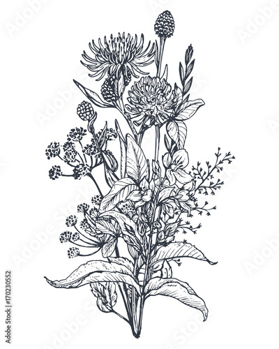 Vector floral bouquets with herbs and wildflowers.