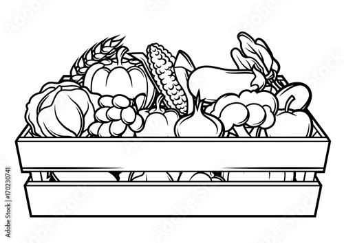 Harvest illustration of box with seasonal fruits and vegetables