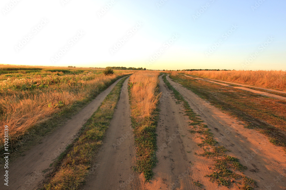 Naklejka premium road in field