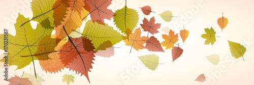  Vector banner dead leaves, autumn background