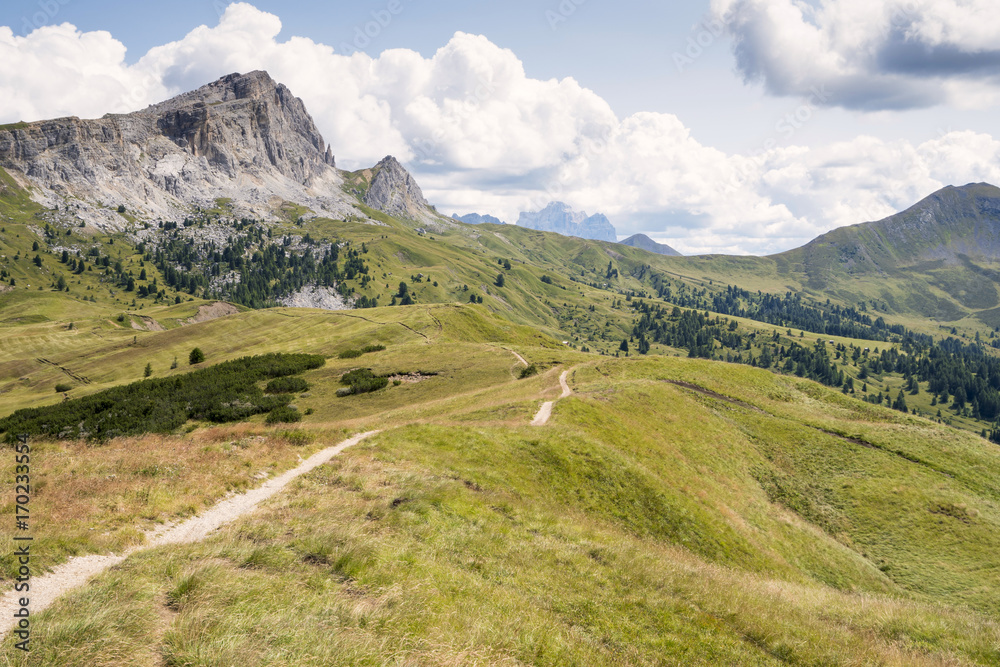 Fototapeta premium Mountain path
