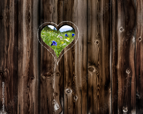 Herz in Holzwand