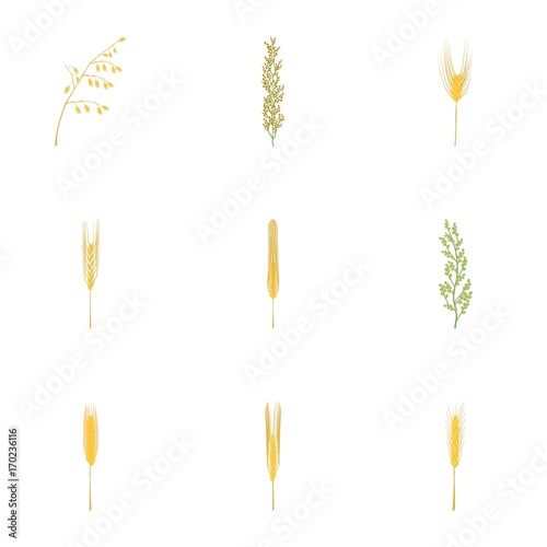 Different cereals icons set, cartoon style