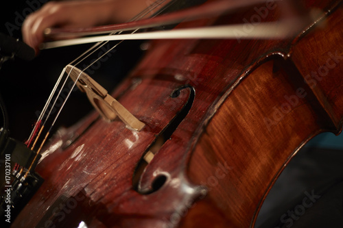 Cello Detail Streichinstrument