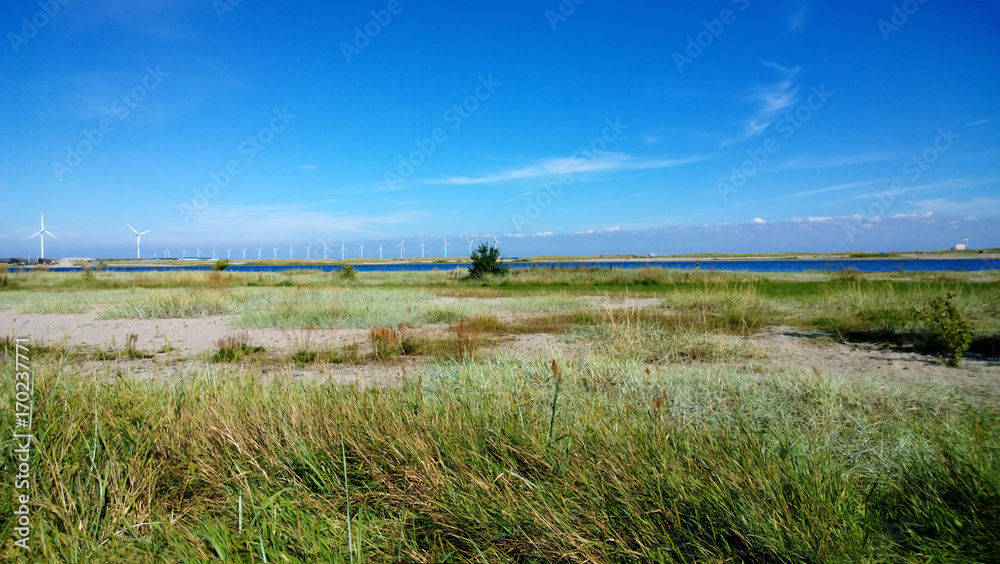Sand dunes in Copenhagen (Denmark)