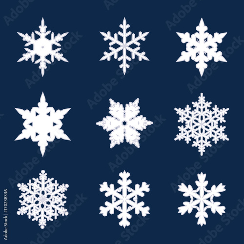 Set of snowflakes vector illustration icons