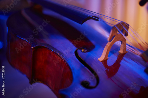 Cello Detail farbig