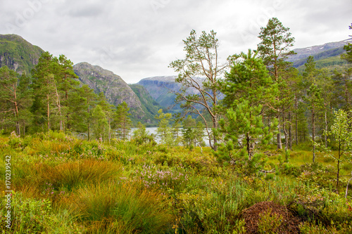 Norway landscape with mountain lake im summer time.