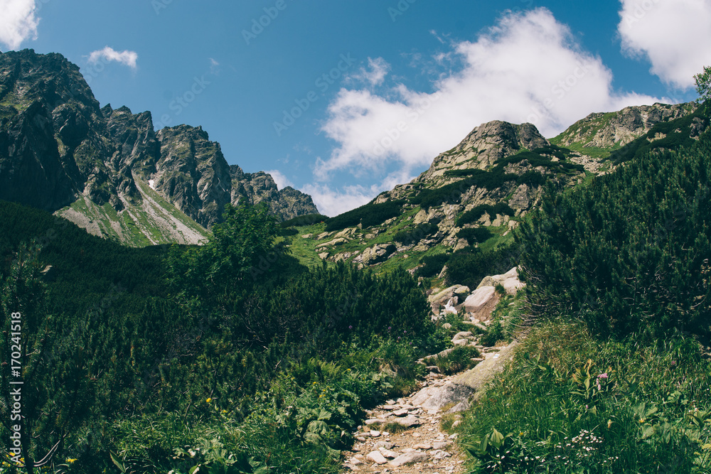 Mountain landscape. Narrow path towards the summit.