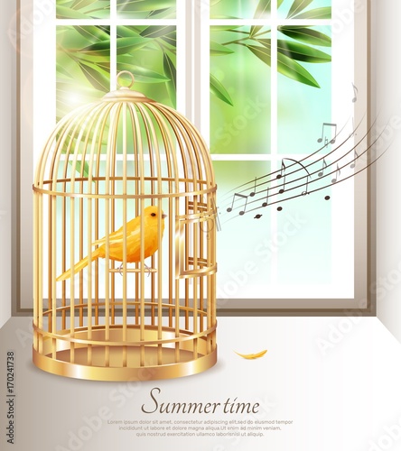 Singing Canary In Summer Time Illustration