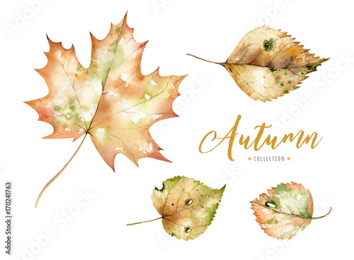 Set of red and yellow autumn watercolor leaves and berries, hand drawn design foliage elements decoration. © kris_art