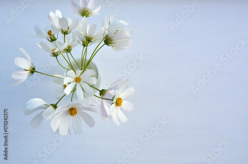 White flowers in vase © Studio Barcelona
