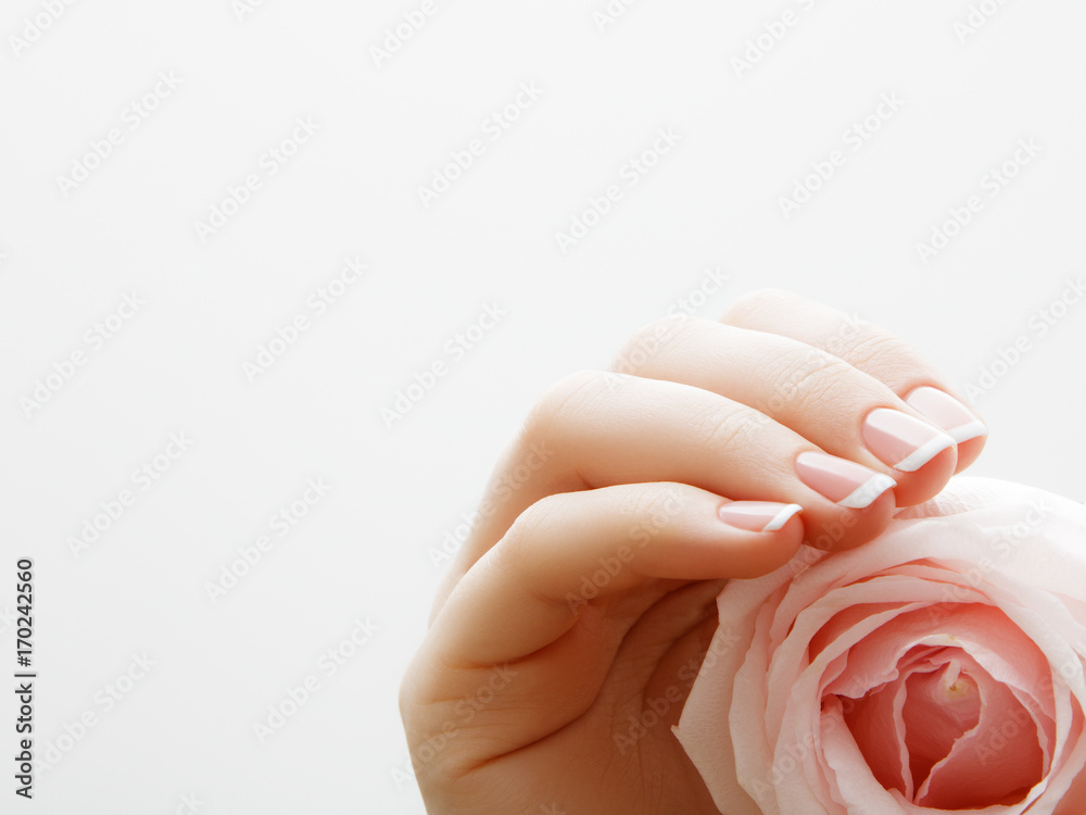 Soft selective focus. Beauty nail care. Delicate hands with french manicure holding a pink petals close up on flower background. Beautiful nails close-up, great idea for the advertising of cosmetics Soft selective focus. Beauty nail care. Delicate hands with french manicure holding a pink petals close up on flower background. Beautiful nails close-up, great idea for the advertising of cosmetics