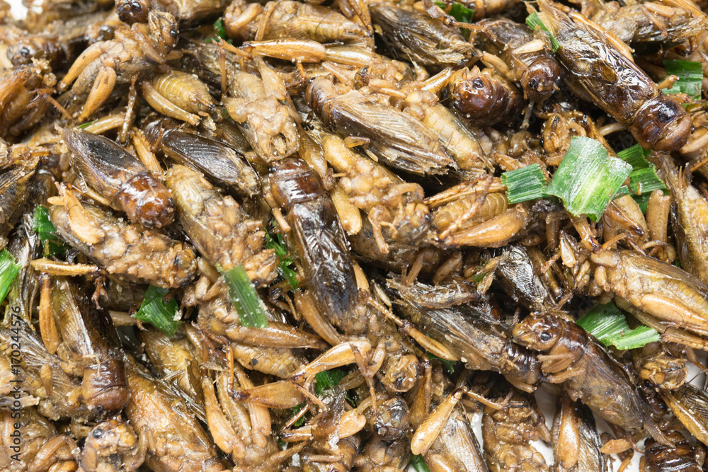 Fried insects, Bugs fried on Street food in thailand Fried insects, Bugs fried on Street food in thailand