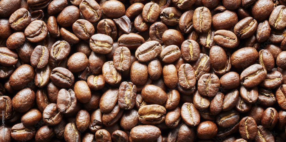 Fototapeta premium Roasted coffee beans, natural food panoramic background.