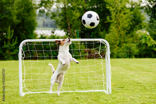 Fototapeta Naklejka Na Ścianę i Meble -  Amusing goalie catching generic football (soccer) ball saving goal