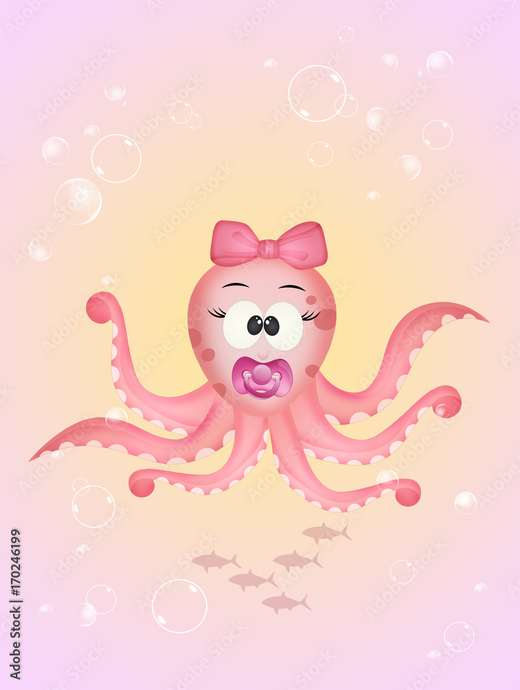 baby female octopus baby female octopus