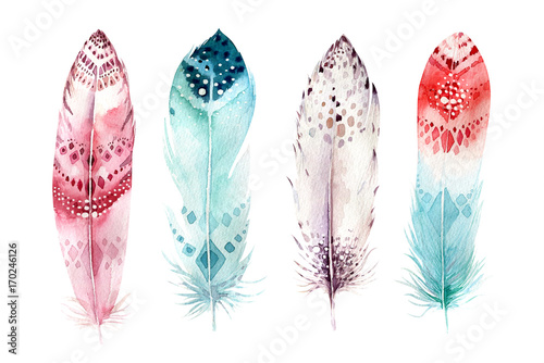 Hand drawn watercolor paintings vibrant feather set. Boho style wings. illustration isolated on white. Bird fly design for T-shirt, invitation, wedding card. Rustic Owl decoration