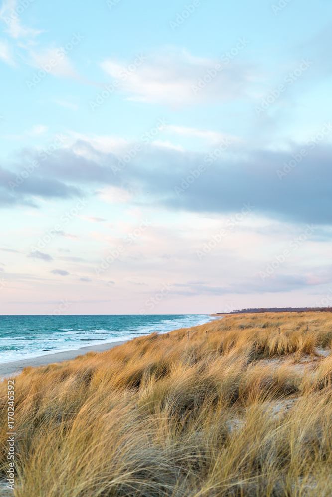 Dünengras weht im Wind und im Hintergrund ist das Meer zu sehen Dünengras weht im Wind und im Hintergrund ist das Meer zu sehen
