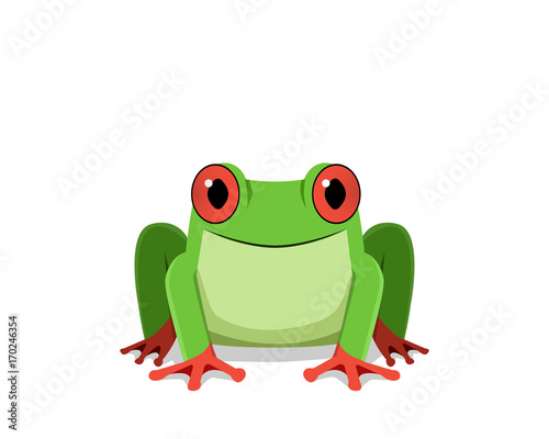 Red eye frog, Front view, vector