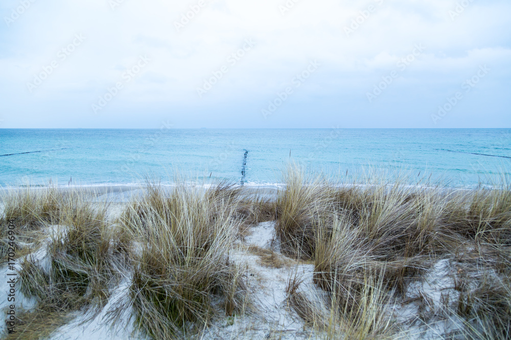 Dünengras weht im Wind, im Hintergrund das Meer mit Holzpfählen Dünengras weht im Wind, im Hintergrund das Meer mit Holzpfählen