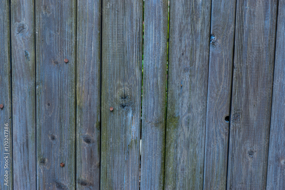 Fototapeta premium hintergrund texturen