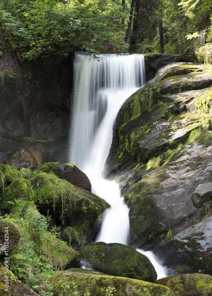 Fototapeta premium Triberg Falls, one of the highest waterfalls in Germany