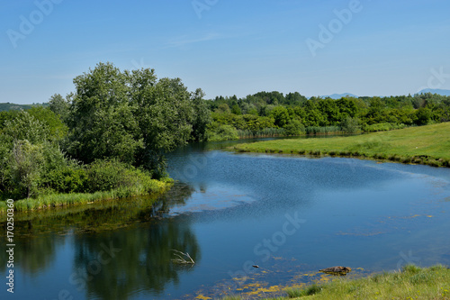 Untouched nature by the lake