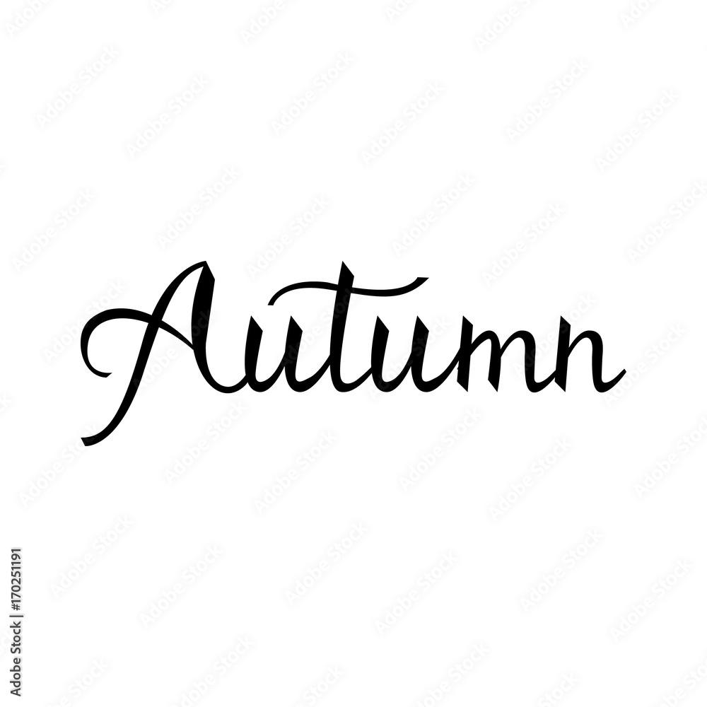 Modern brush phrase autumn. Word of Fall isolated on white background