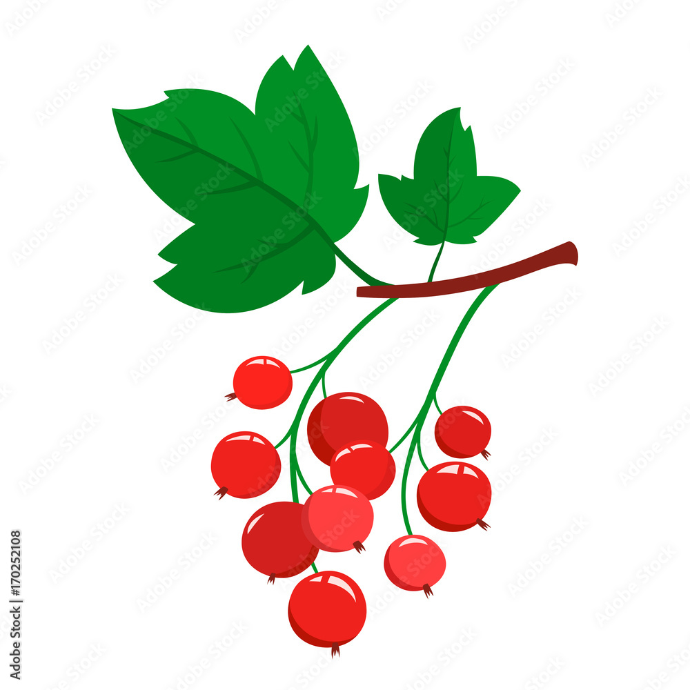 Cartoon red currant berries with green leaves isolated on white Cartoon red currant berries with green leaves isolated on white