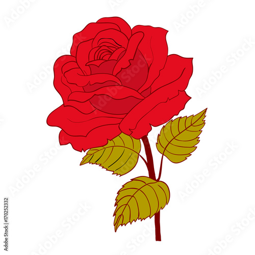 Red rose cartoon style on white background