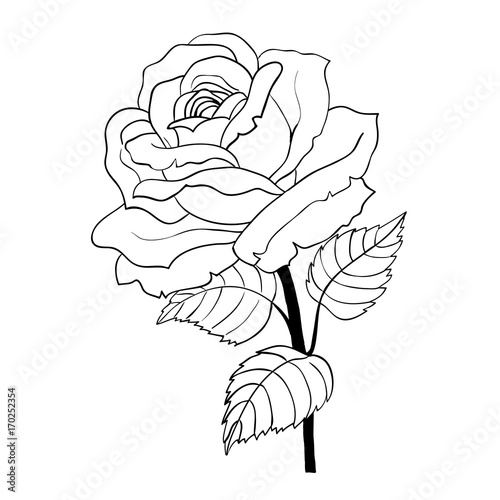Rose cartoon style on white background