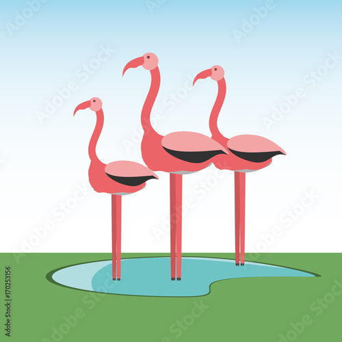 Flamingos icon over white background colorful design vector illustration