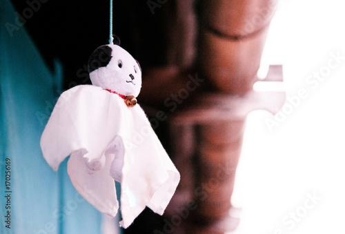 Japanese Rain Doll, Teru Teru Bozu photo