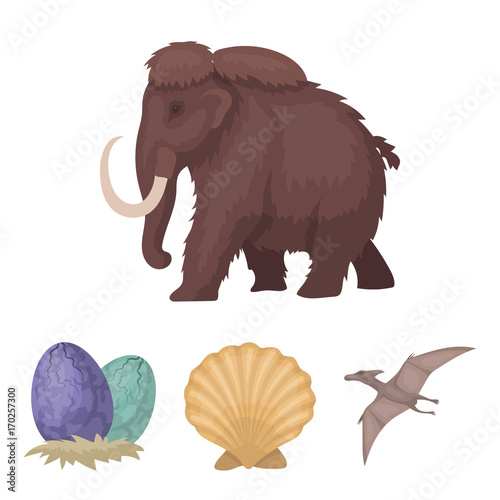 Prehistoric shell, dinosaur eggs,pterodactyl, mammoth. Dinosaur and prehistoric period set collection icons in cartoon style vector symbol stock illustration web.