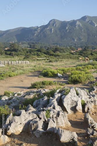 Bufones de Pria; Austurias