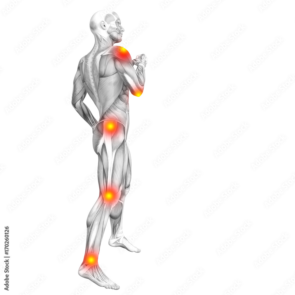 Conceptual human muscle anatomy with red and yellow hot spot inflammation or articular joint pain for health care therapy or sport concepts. 3D illustration man arthritis or bone osteoporosis disease Conceptual human muscle anatomy with red and yellow hot spot inflammation or articular joint pain for health care therapy or sport concepts. 3D illustration man arthritis or bone osteoporosis disease