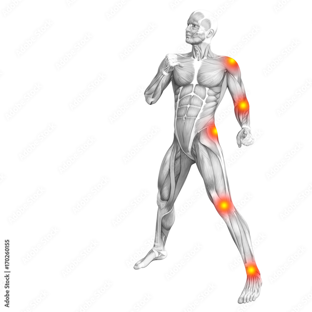 Conceptual human muscle anatomy with red and yellow hot spot inflammation or articular joint pain for health care therapy or sport concepts. 3D illustration man arthritis or bone osteoporosis disease