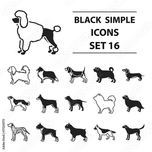 Dog breeds set icons in black style. Big collection dog breeds vector symbol stock illustration