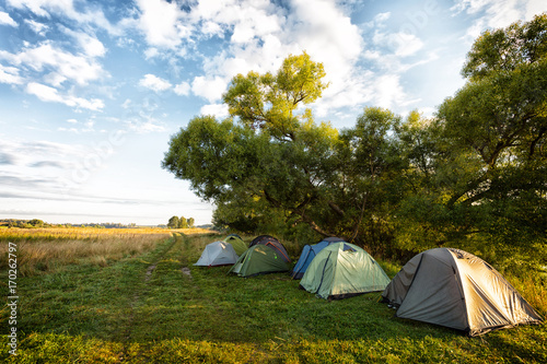Some tourist tents standing under trees on the edge of a field in solar summer morning