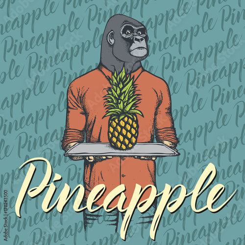 Vector gorilla with pineapple illustration