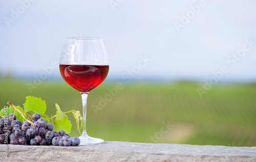 Verre de vin rouge et grappe de raisin noir