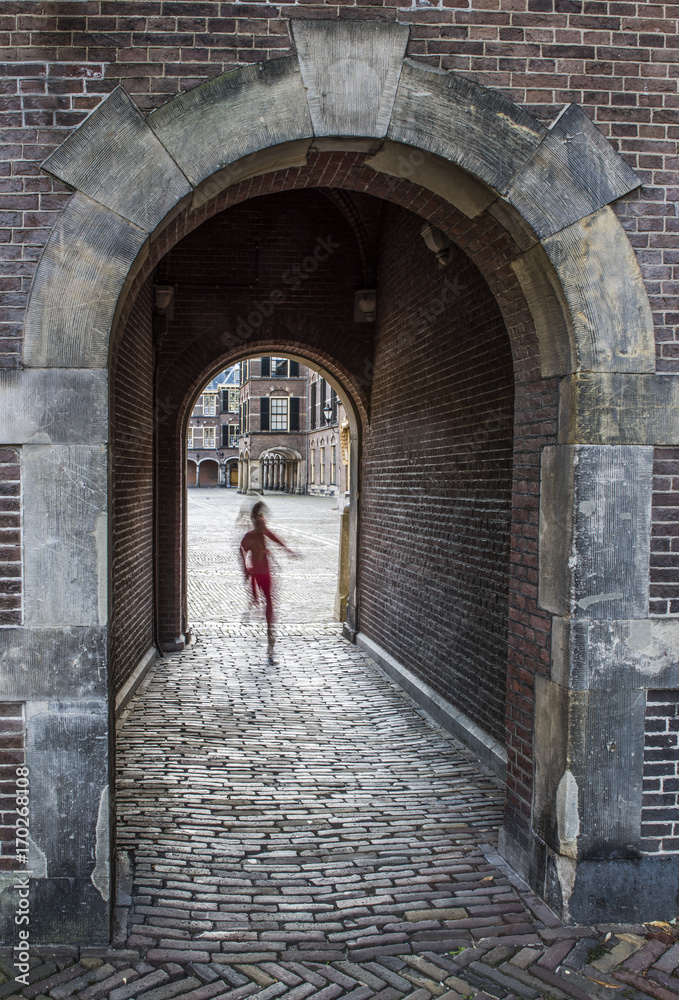Binnenhof and Child The Hague
