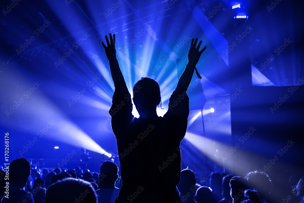 Obraz premium Woman on Shoulders At A Rock Gig