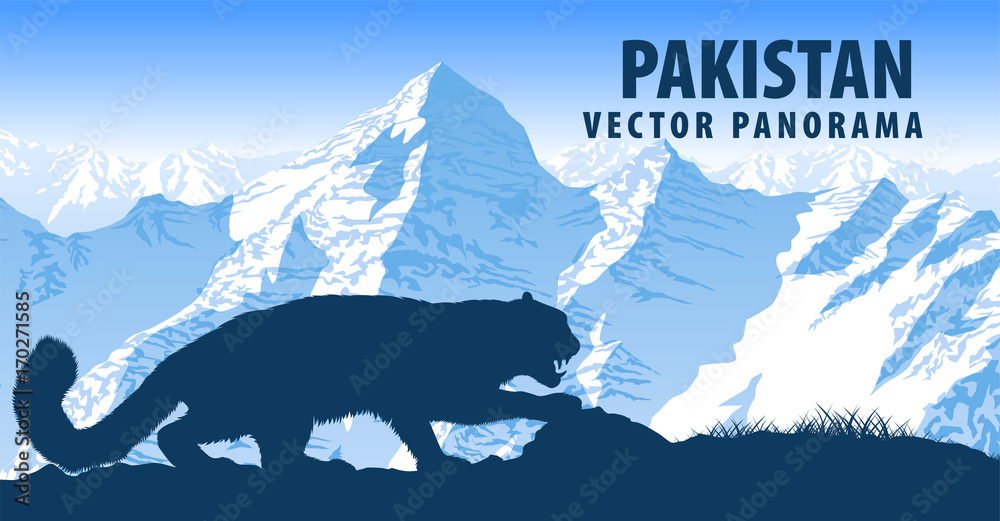 Fototapeta wektor panorama Pakistanu z góry Snow Leopard