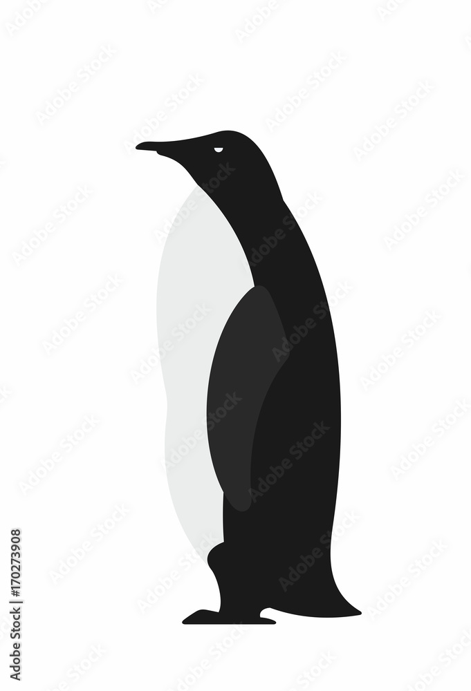 Obraz premium Penguin